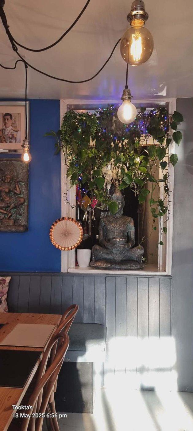 Tookta's Buddha garden with fairy lights and tropical plants